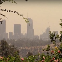 Red Wine prod. drippy