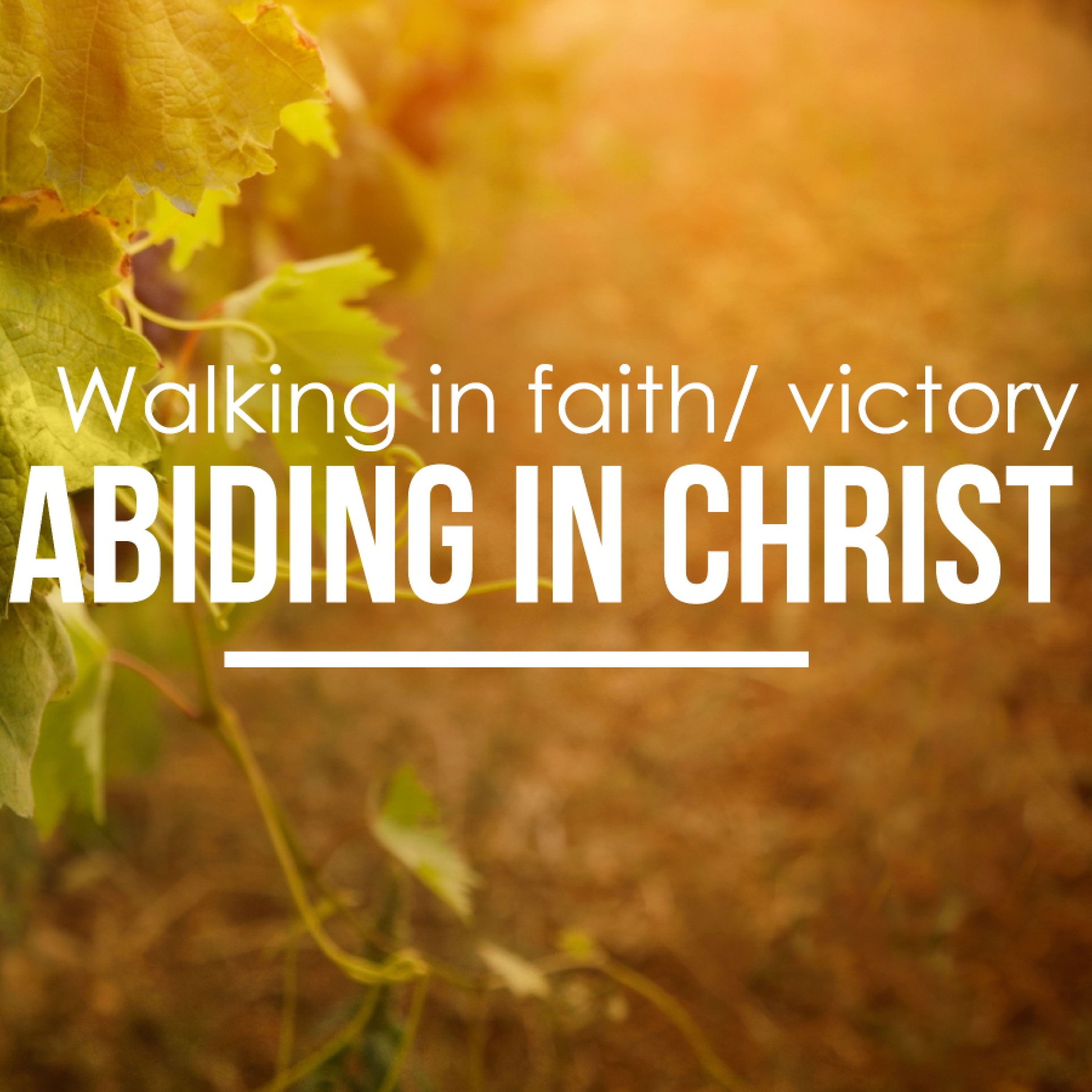 7 - 2- 17  Walking in Faith/ Victory: Abiding in Christ episode artwork