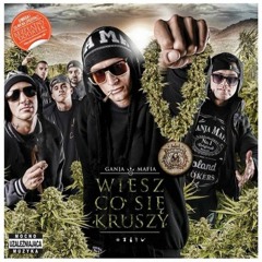 17. Ganja Mafia - Fake MC (Prod. PSR)
