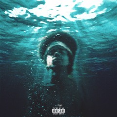 THEE BARKER - WATER