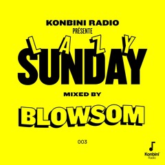 Lazy Sunday Mix 003 - Blowsom