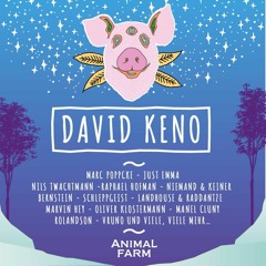 David Keno @ Animal Farm Festival 2017
