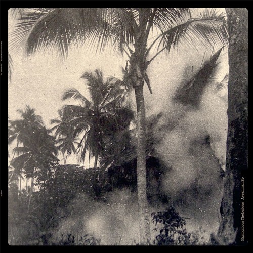 Harmonious Thelonious - Ayranman