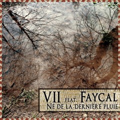 VII - Né de la dernière pluie feat Fayçal
