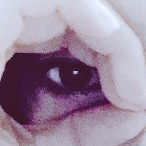 Stream 澄んだ瞳と心で Prod Orkl By Yoo Listen Online For Free On Soundcloud