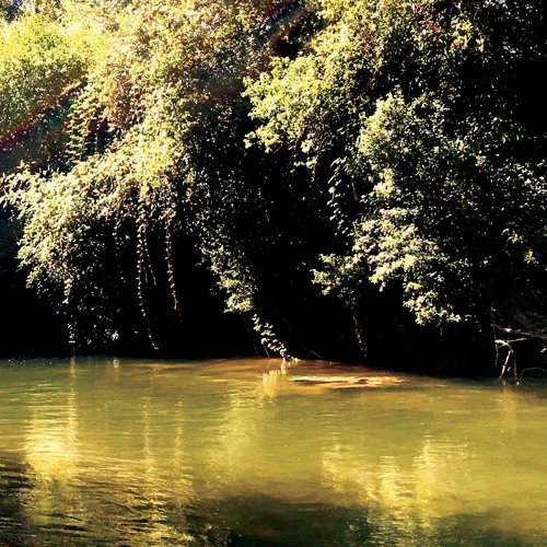 La Planche En Eau Douce