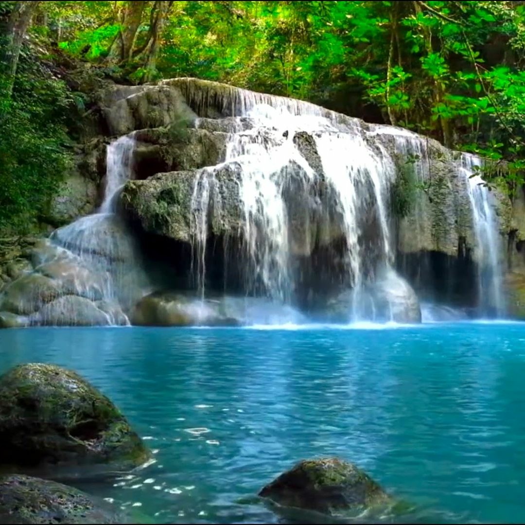 Stream Waterfall & Jungle Birdsong Sounds - Relaxing Nature HD by Shiv ...