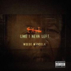 Like I Neva Left (Ft. Will Fargo)
