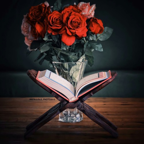 👐 طَرَقْتُ بَابَ الرَجَا ✊|مُحَمْد المُقِيت||مُؤثِرات..~