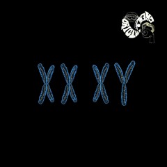 XXXY (Feat. Eloa) (Prod. 2Child)