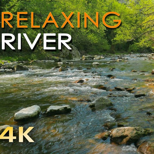 Relaxing River Water Stream - Birds singing - Forest Relaxing