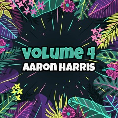 PALM CITY 004 | Aaron Harris