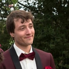 Les Petits Sandwichs Triangulaires