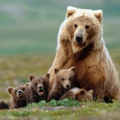 Linkin Park - Lost In The Echo - Aakash Apoorv Epic Remix