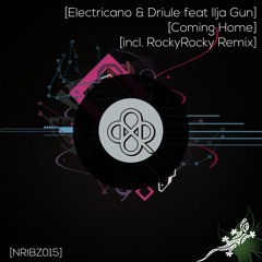 Electricano, Driule XL - Coming Home (feat. Ilja Gun) ()