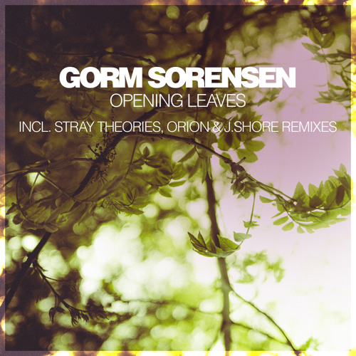 Gorm Sorensen - Opening Leaves (Original Mix)
