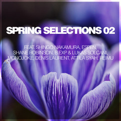 Espen & Shane Robinson - In Time (Monojoke Remix)