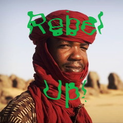 Cheikh Mohamed Salmi - Rebel Up! Duckfood Roots Acid Rai Edit