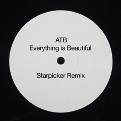 ATB & Taylr - Everything Is Beautiful (Starpicker Bootleg Mix)