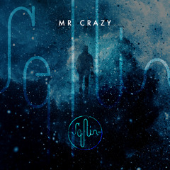 Mr Crazy - Selin