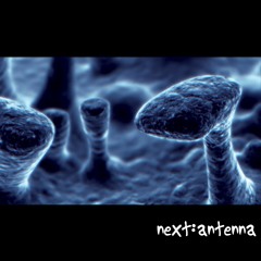 Ant-Zen - part 5