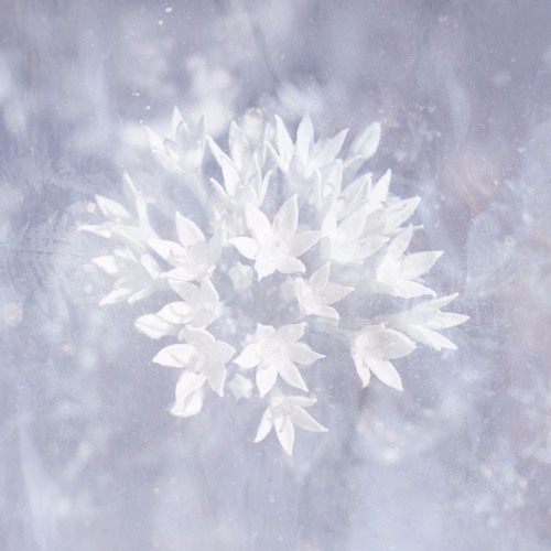 poemme - Clouds Of Breath