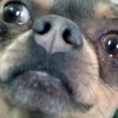 Market Street Boogie