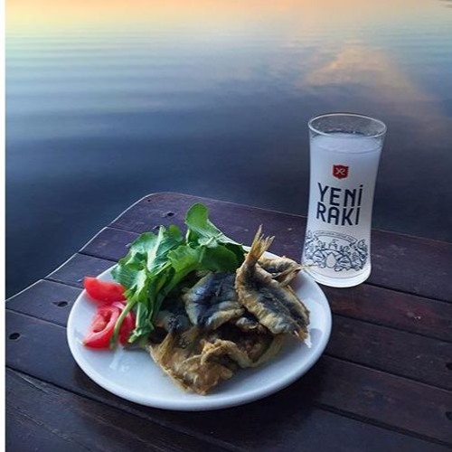 erkek erkeği sikerse