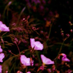 Fugue 'Impromptu'   In F minor _______________________ver.2 (fnl 6 Ad.Vol) !