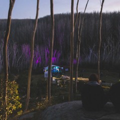 Ripe Guide: Australia's Best New Music (6/7/17)