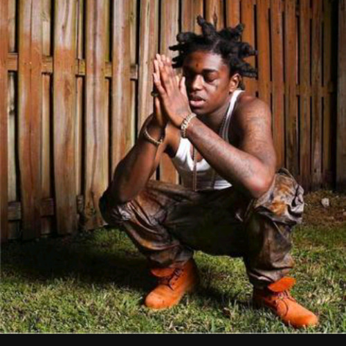 Kodak Black - Just A Wrap (Audio)