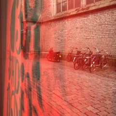 Shimmering Moods @ Red Light Radio 30.6