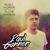 Niall Horan - Slow Hands Paul Gannon Bootleg Free Download Niall Horan - Slow Hands Paul Gannon Bootleg Free Download
