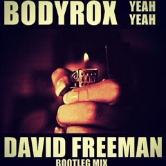 Bodyrox - Yeah Yeah ( David Freeman Bootleg Mix)