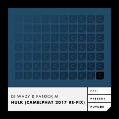 Premiere: DJ Wady & Patrick M - Hulk (Camelphat Re-Fix)