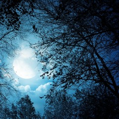 Night
