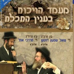 Techeiles Debate: Harav Shaul Shmuel Deutsch and Harav Mordechai Appel (Yiddish)