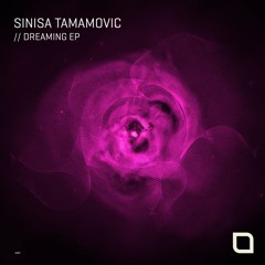 Sinisa Tamamovic - Moon Lights (Original Mix) [Tronic]
