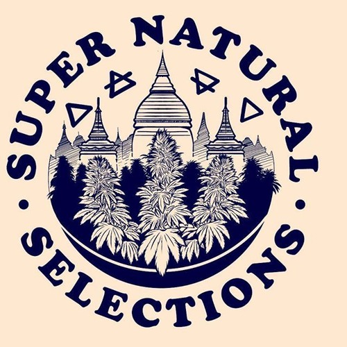 super natural pop