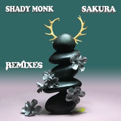 SHADY MONK - IDK HOW 2 TLK 2 U [TELYSCOPES COVER]