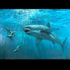 Sharkz - AK ft ID x Show x Crvcc