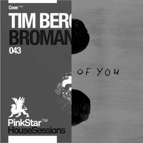 Tim Berg vs. Ed Sheeran - Bromance vs. Shape Of You (steady mashup v2)