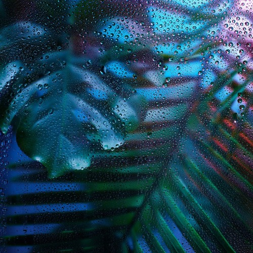 Aamourocean X Fallen Shrine - Do 0r Die