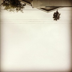 slow chill