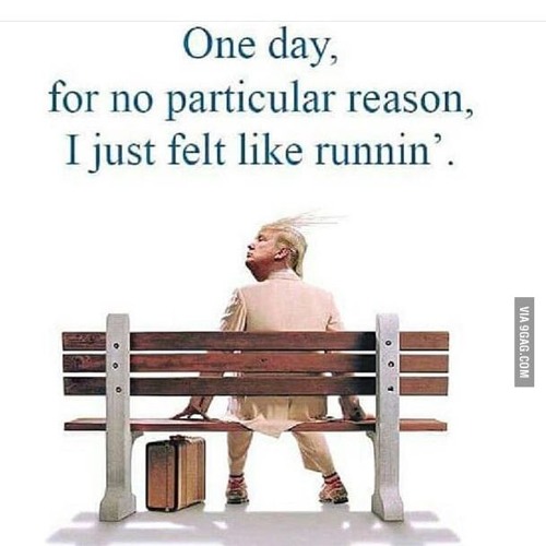 Matt G - Donald Gump