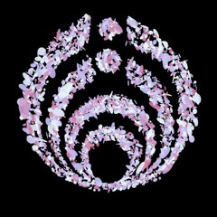 Bassnectar- Arps & Bjork - EFW2 Remix