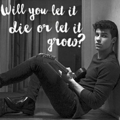 Roses (opb. Shawn Mendes) - arr. Sean Weisman