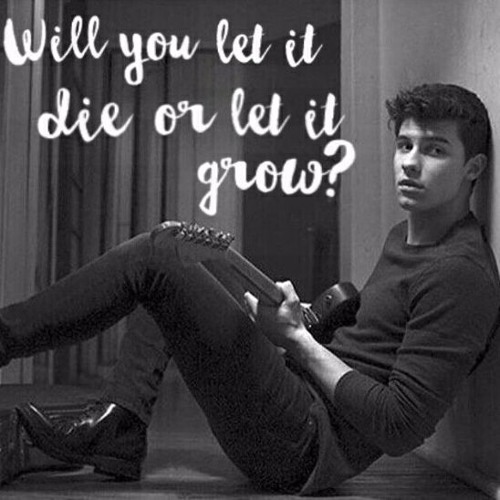 Roses (opb. Shawn Mendes) - arr. Sean Weisman