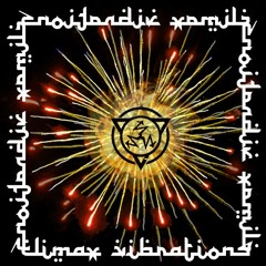 2LAVE RAC3 - Climax Vibrations