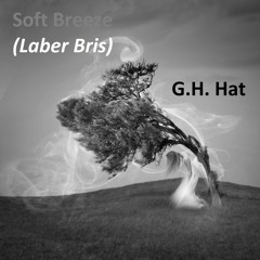 Soft Breeze (Laber Bris) - G.H. Hat